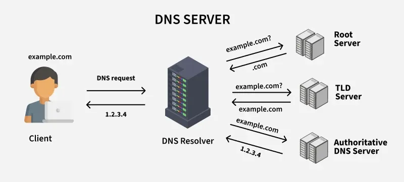 DNS